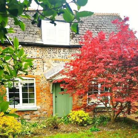 Shrewton Historic, Traditional & Spacious Wiltshire Cottage المظهر الخارجي الصورة