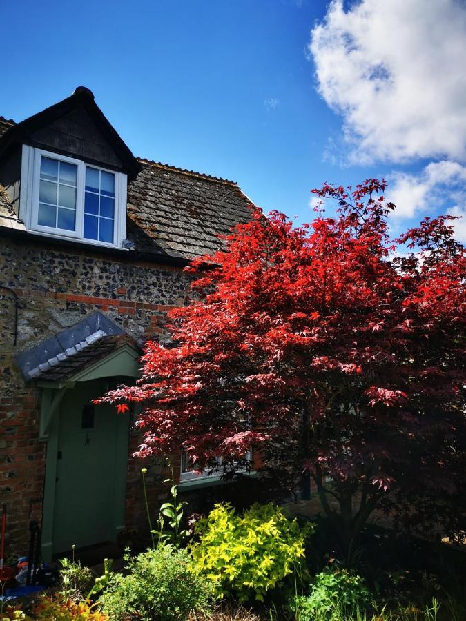 Shrewton Historic, Traditional & Spacious Wiltshire Cottage المظهر الخارجي الصورة