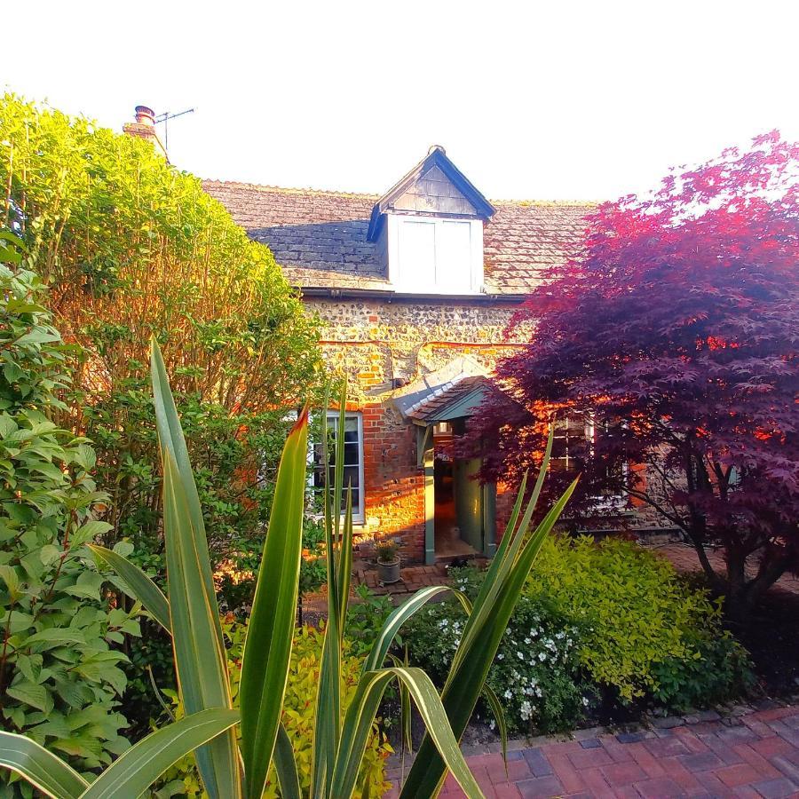 Shrewton Historic, Traditional & Spacious Wiltshire Cottage المظهر الخارجي الصورة